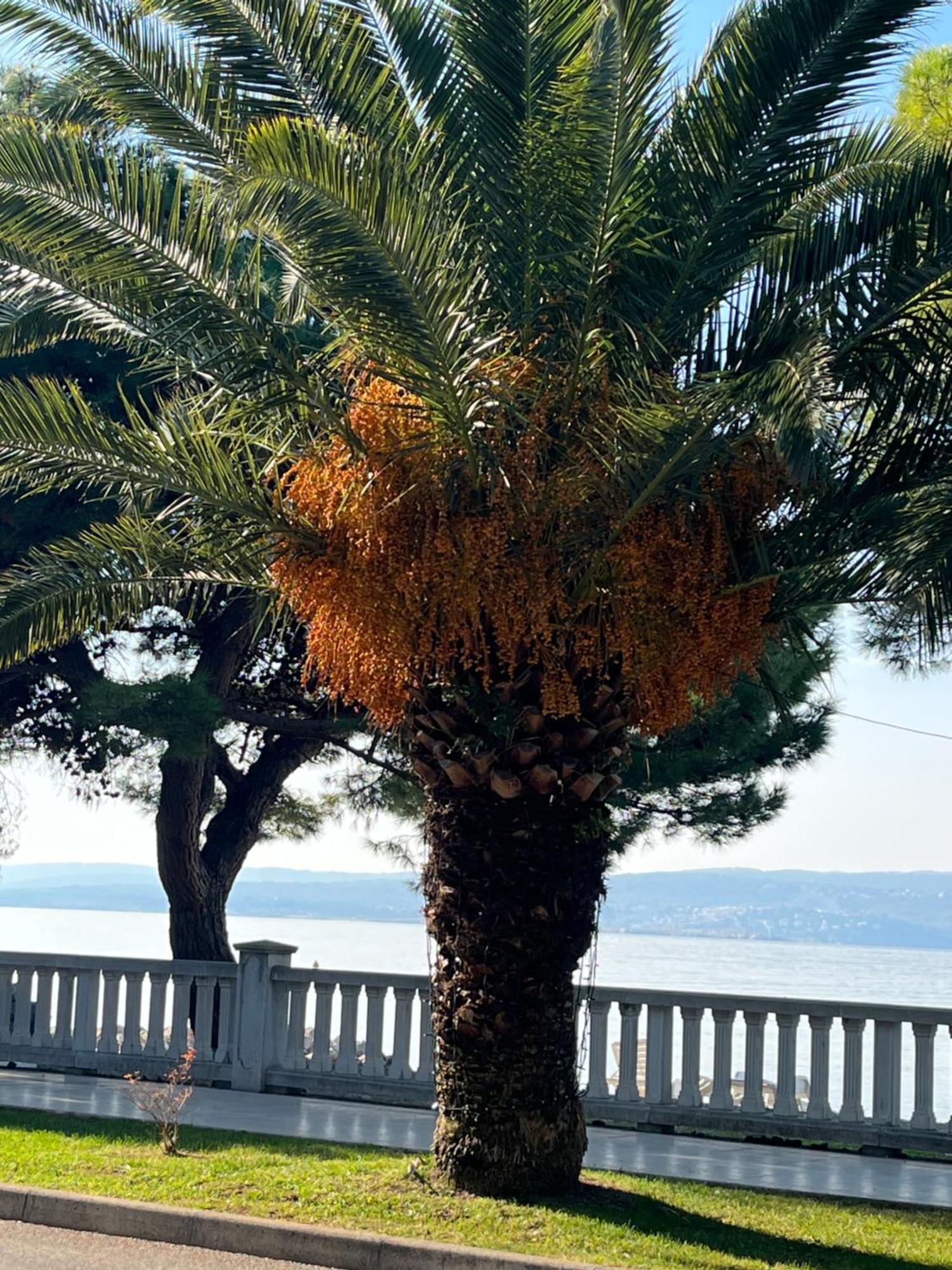 Crikvenica Right On The Beach Extérieur photo